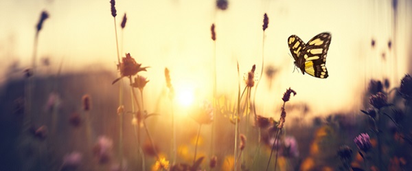 Så får du medarbetare att stanna kvar